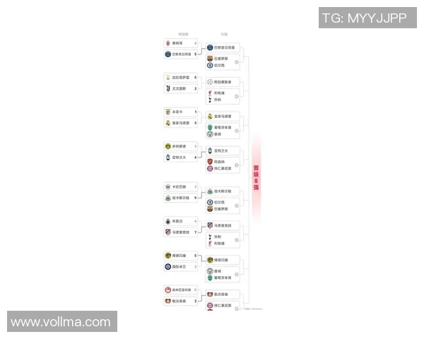 欧冠激战：皇马凭借绝杀战胜巴黎圣日耳曼全场沸腾数据解析尽显精彩